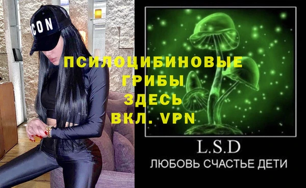 spice Пестово