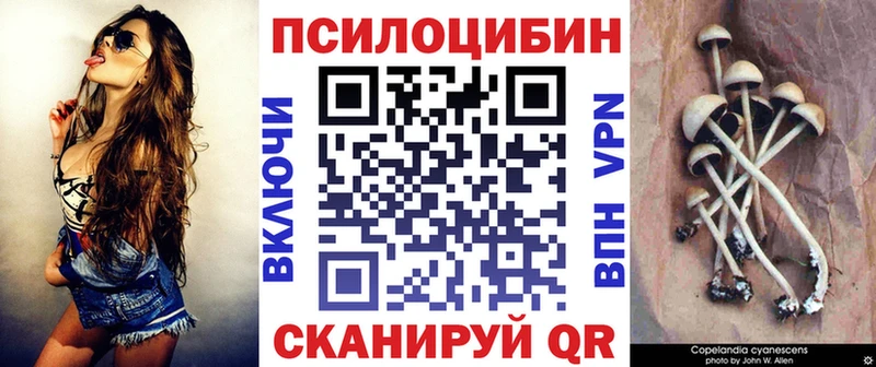кракен ССЫЛКА  Кочубеевское  Галлюциногенные грибы GOLDEN TEACHER 